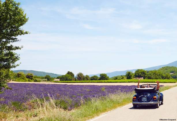 Séjour Découverte & Gastronomique dans le 84 en Provence