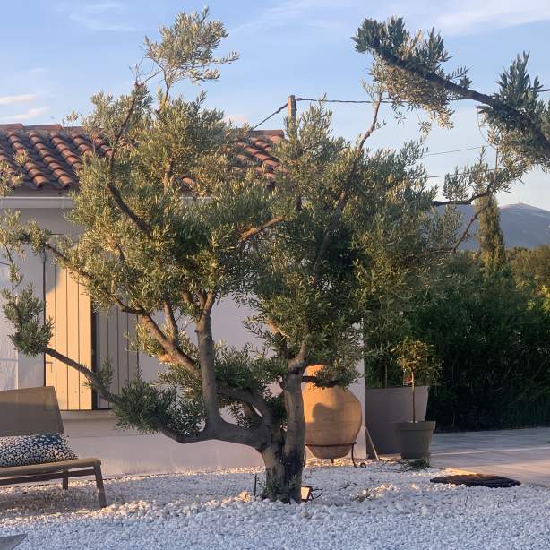 le Cabanon de Modène